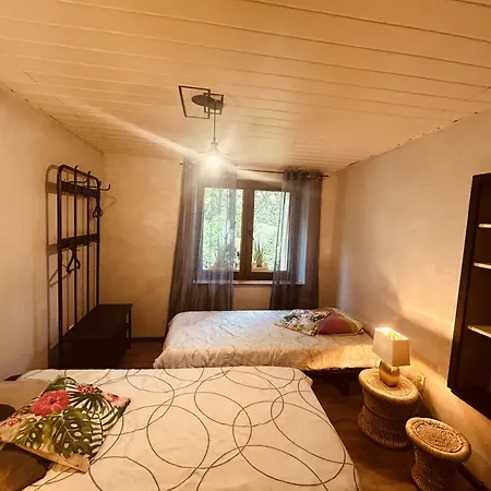 La Mariefacture - Comme C'est Jungle *