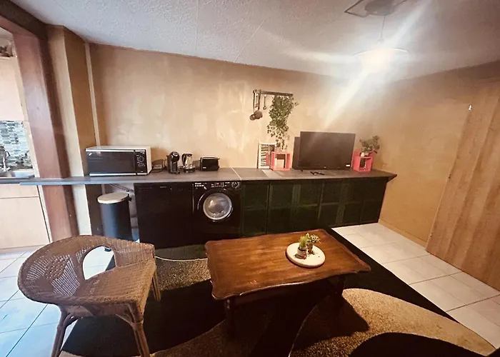 La Mariefacture - Comme C'est Jungle Apartmán Hombourg-Haut