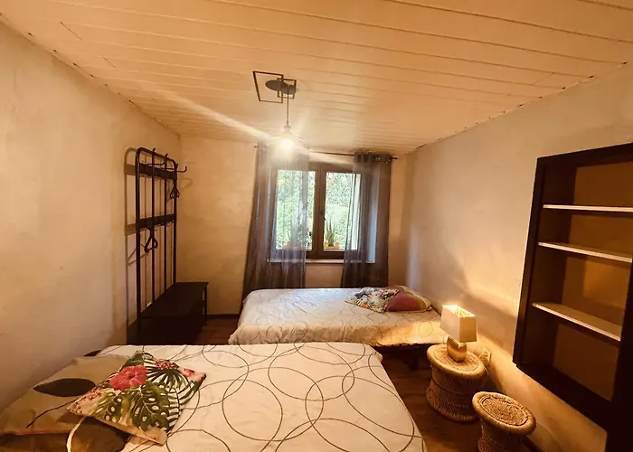 La Mariefacture - Comme C'est Jungle *